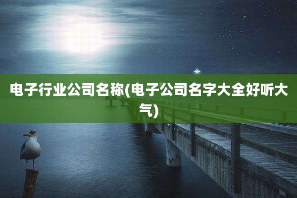 电子行业公司名称(电子公司名字大全好听大气)