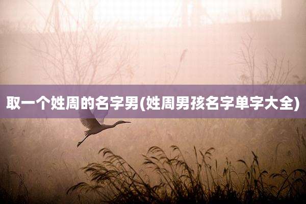 取一个姓周的名字男(姓周男孩名字单字大全)