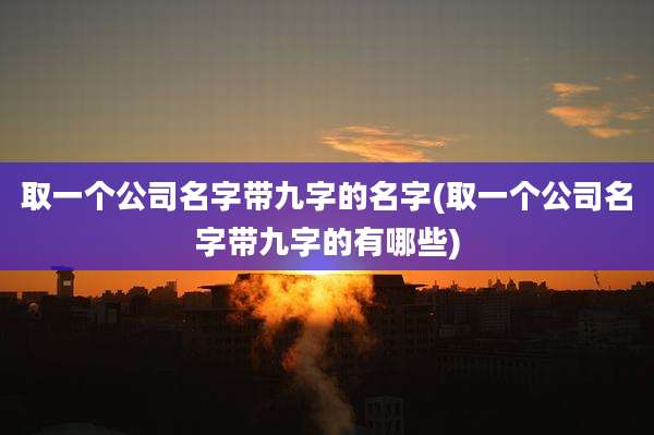 取一个公司名字带九字的名字(取一个公司名字带九字的有哪些)