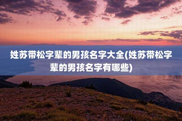 姓苏带松字辈的男孩名字大全(姓苏带松字辈的男孩名字有哪些)