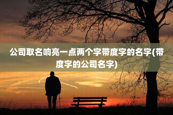 公司取名响亮一点两个字带度字的名字(带度字的公司名字)
