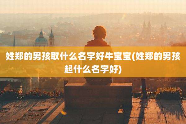 姓郑的男孩取什么名字好牛宝宝(姓郑的男孩起什么名字好)