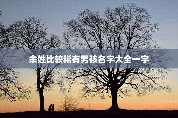 余姓比较稀有男孩名字大全一字