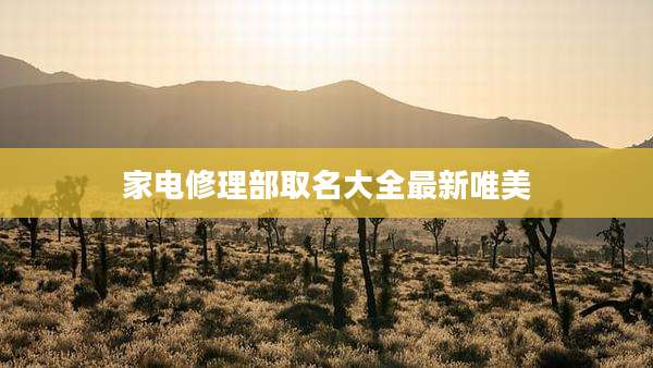 家电修理部取名大全最新唯美