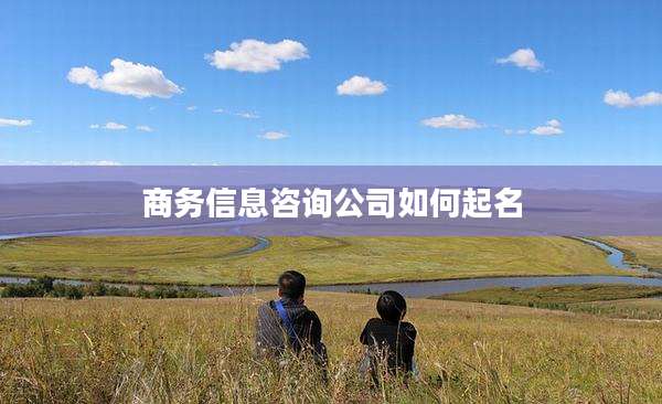 商务信息咨询公司如何起名
