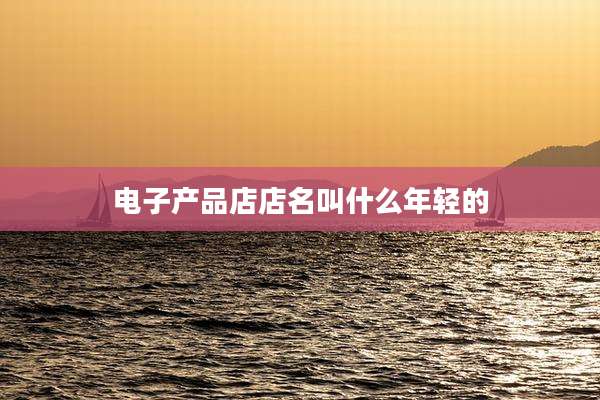 电子产品店店名叫什么年轻的