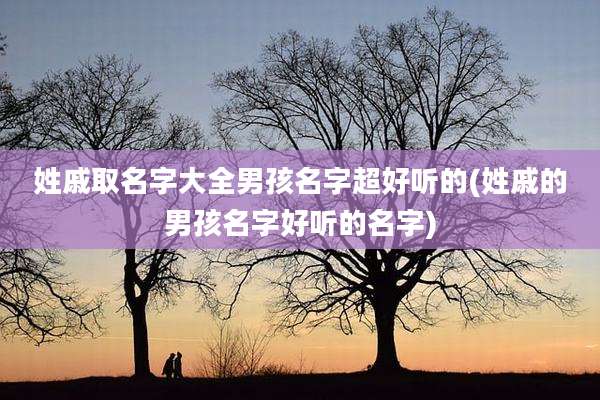 姓戚取名字大全男孩名字超好听的(姓戚的男孩名字好听的名字)