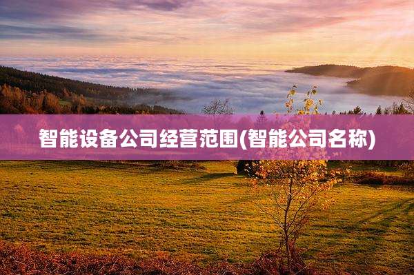 智能设备公司经营范围(智能公司名称)