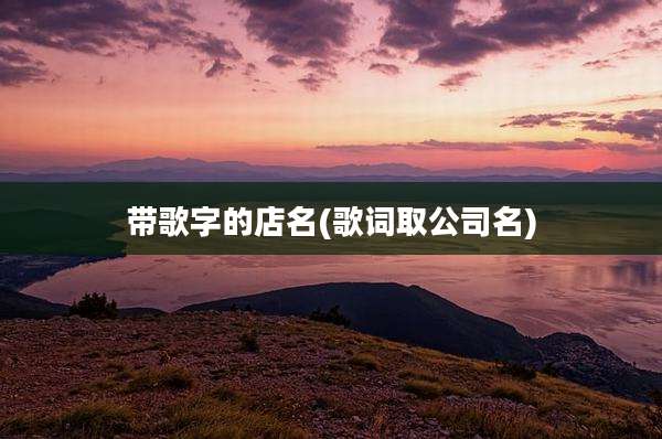 带歌字的店名(歌词取公司名)