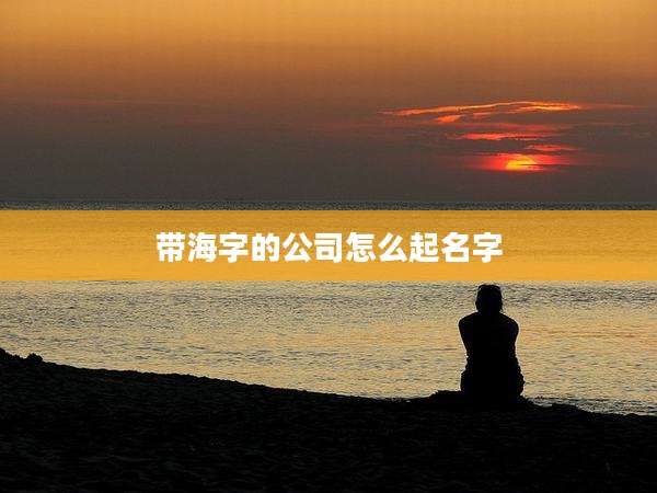 带海字的公司怎么起名字