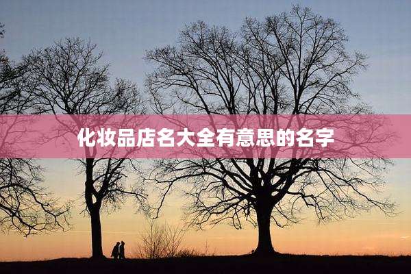 化妆品店名大全有意思的名字