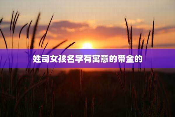 姓司女孩名字有寓意的带金的