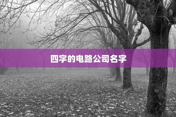 四字的电路公司名字