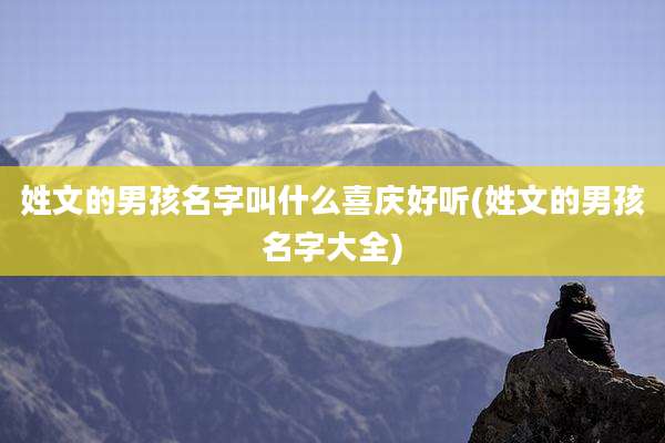 姓文的男孩名字叫什么喜庆好听(姓文的男孩名字大全)