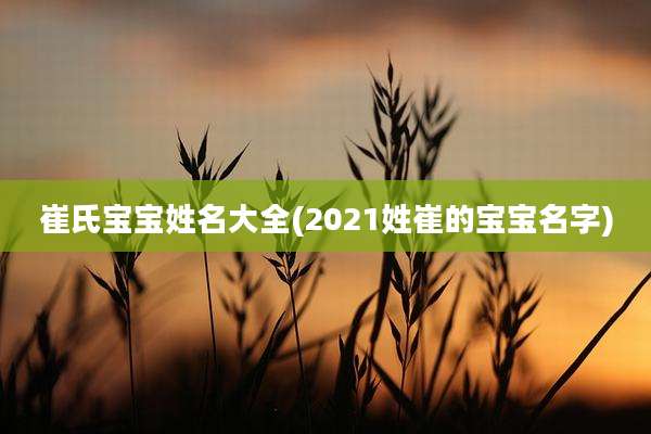 崔氏宝宝姓名大全(2021姓崔的宝宝名字)