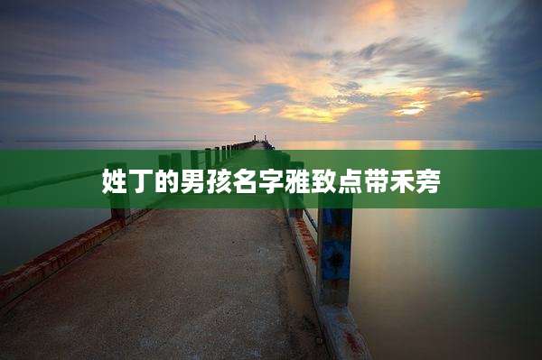 姓丁的男孩名字雅致点带禾旁