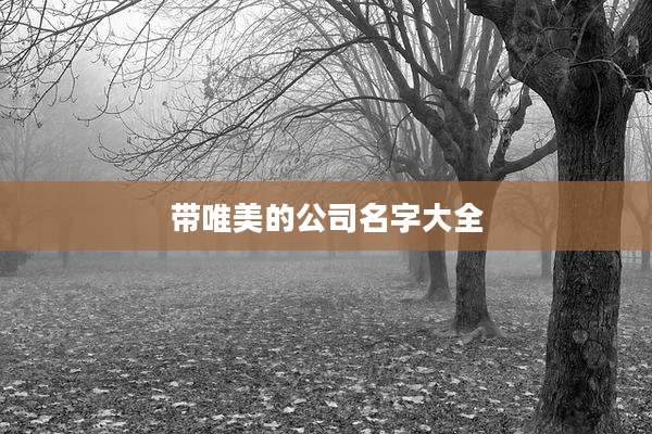 带唯美的公司名字大全