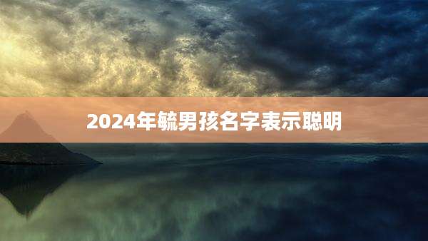 2024年毓男孩名字表示聪明