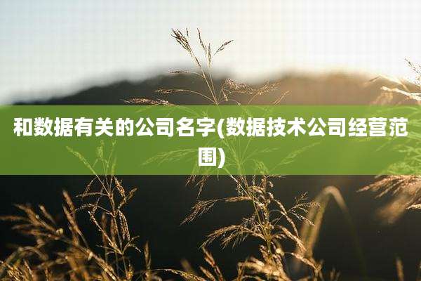 和数据有关的公司名字(数据技术公司经营范围)
