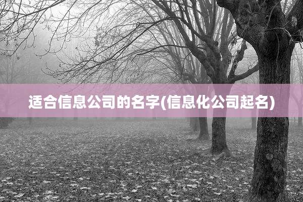 适合信息公司的名字(信息化公司起名)