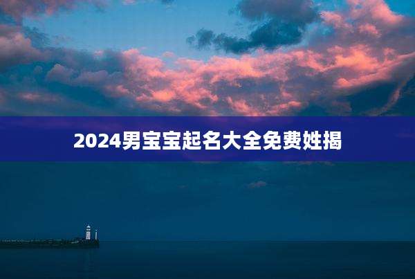 2024男宝宝起名大全免费姓揭