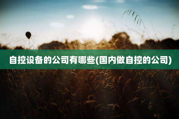 自控设备的公司有哪些(国内做自控的公司)