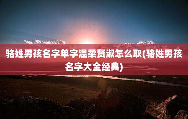 骆姓男孩名字单字温柔贤淑怎么取(骆姓男孩名字大全经典)