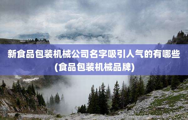 新食品包装机械公司名字吸引人气的有哪些(食品包装机械品牌)