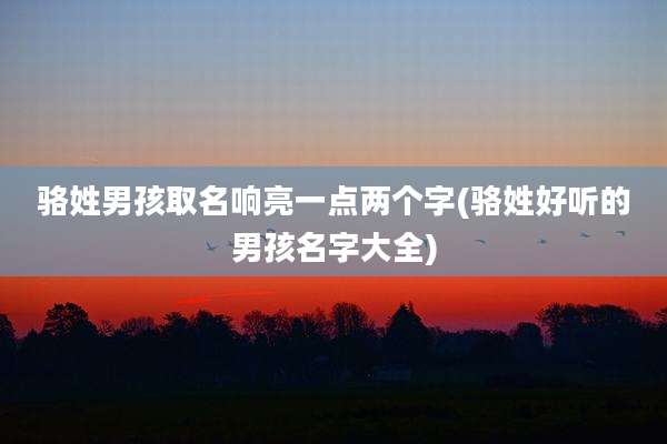 骆姓男孩取名响亮一点两个字(骆姓好听的男孩名字大全)