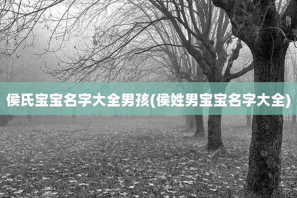 侯氏宝宝名字大全男孩(侯姓男宝宝名字大全)