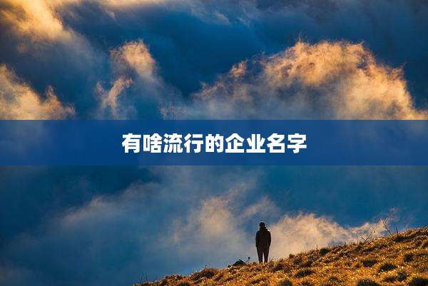 有啥流行的企业名字