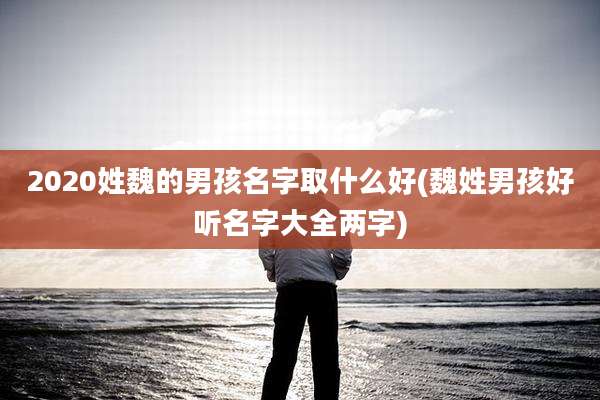 2020姓魏的男孩名字取什么好(魏姓男孩好听名字大全两字)