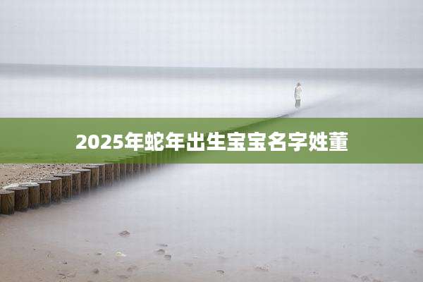 2025年蛇年出生宝宝名字姓董