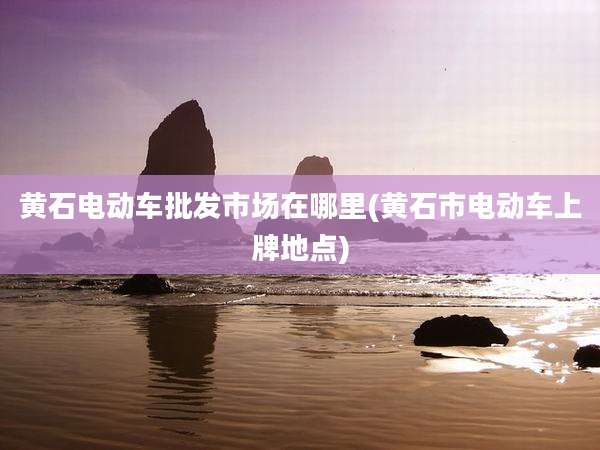 黄石电动车批发市场在哪里(黄石市电动车上牌地点)
