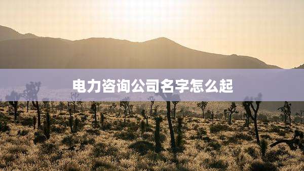 电力咨询公司名字怎么起