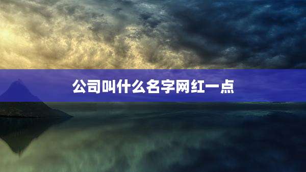 公司叫什么名字网红一点