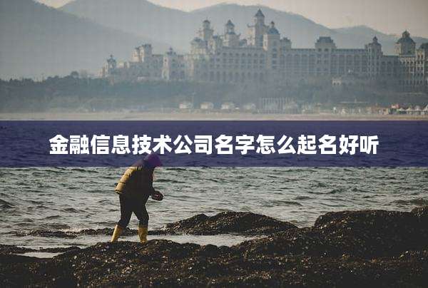 金融信息技术公司名字怎么起名好听
