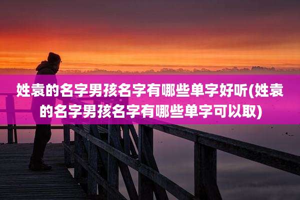 姓袁的名字男孩名字有哪些单字好听(姓袁的名字男孩名字有哪些单字可以取)