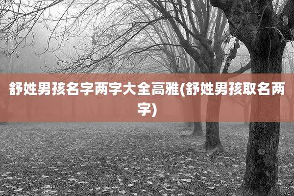 舒姓男孩名字两字大全高雅(舒姓男孩取名两字)
