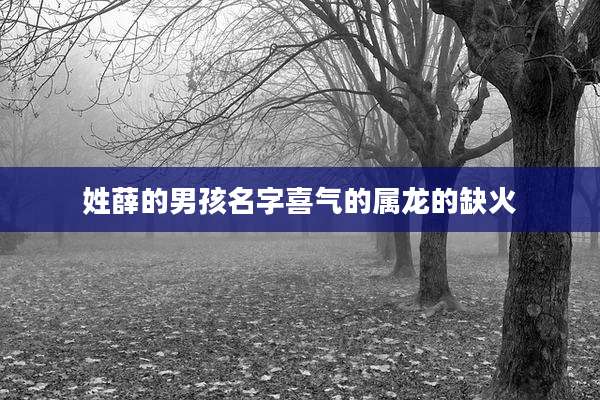 姓薛的男孩名字喜气的属龙的缺火