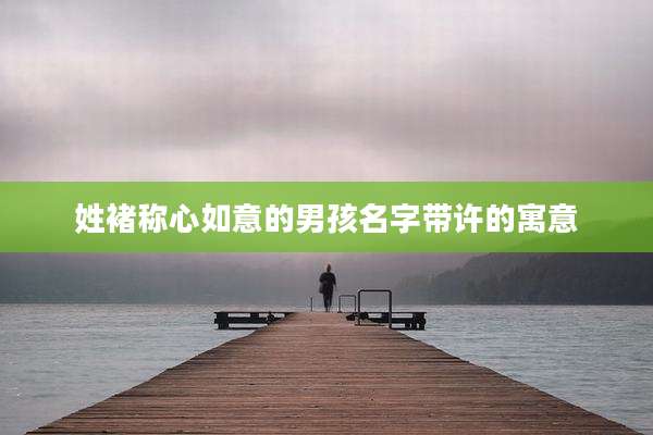 姓褚称心如意的男孩名字带许的寓意
