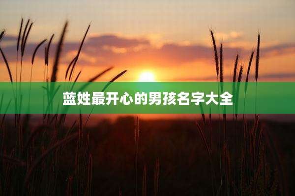 蓝姓最开心的男孩名字大全