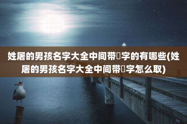 姓屠的男孩名字大全中间带玥字的有哪些(姓屠的男孩名字大全中间带玥字怎么取)