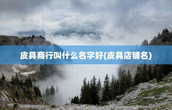 皮具商行叫什么名字好(皮具店铺名)
