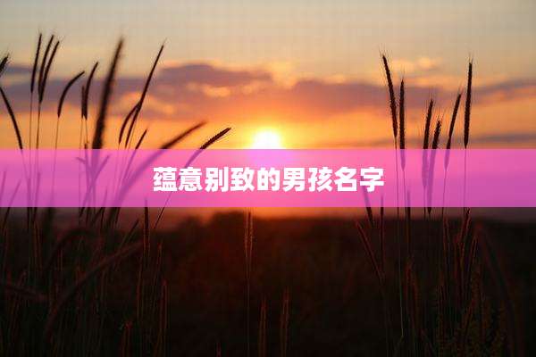 蕴意别致的男孩名字