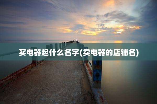 买电器起什么名字(卖电器的店铺名)