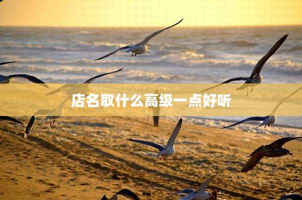 店名取什么高级一点好听