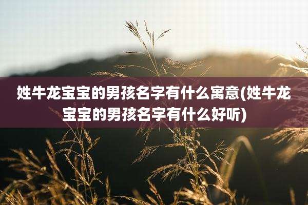 姓牛龙宝宝的男孩名字有什么寓意(姓牛龙宝宝的男孩名字有什么好听)