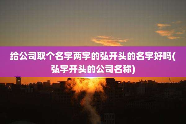 给公司取个名字两字的弘开头的名字好吗(弘字开头的公司名称)