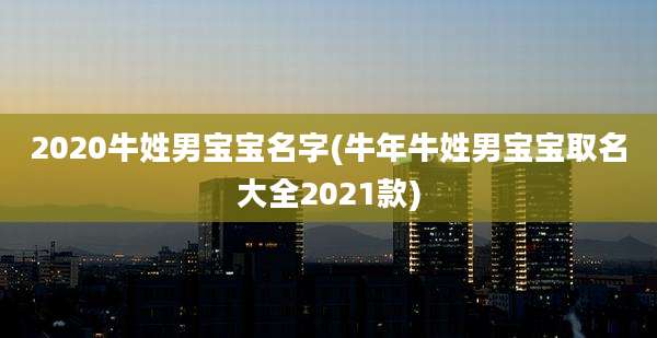 2020牛姓男宝宝名字(牛年牛姓男宝宝取名大全2021款)